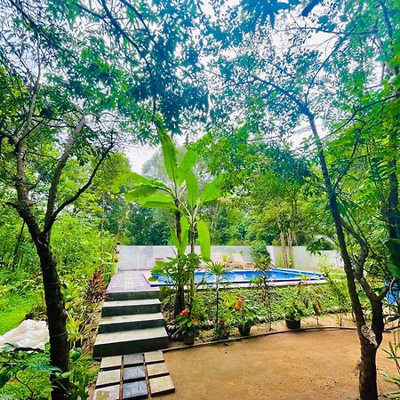 Gangadiya Lodge Sigiriya Esterno foto