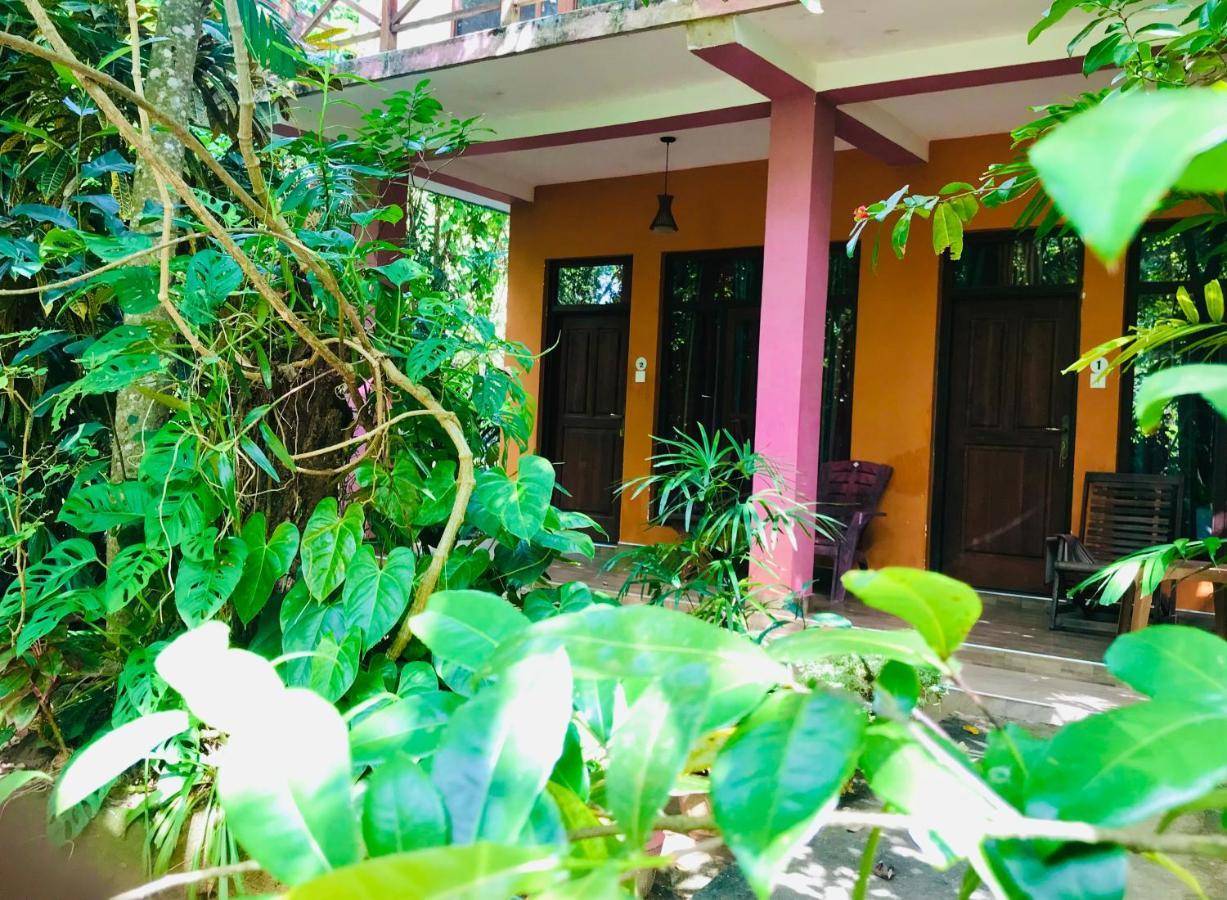 Gangadiya Lodge Sigiriya Esterno foto